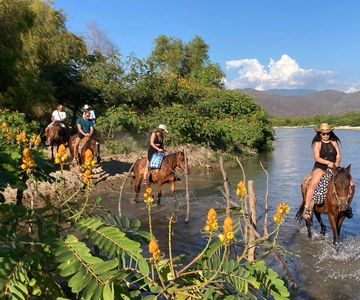 Pferde und heiße Quellen in Puerto Escondido.