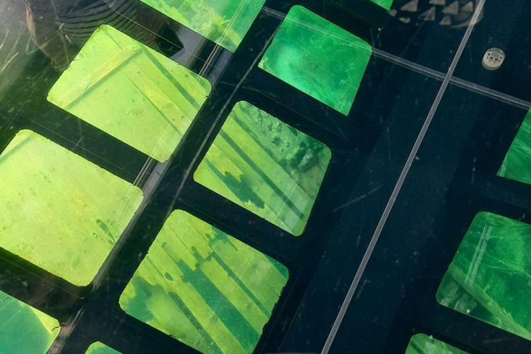 Toronto: Tobermory Day Trip from Toronto with Boat Cruise