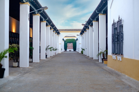 Cádiz: Bodegas Barbadillo Tour & Wine Tasting Cádiz: Bodegas Barbadillo Tour & Wine Tasting in Spanish