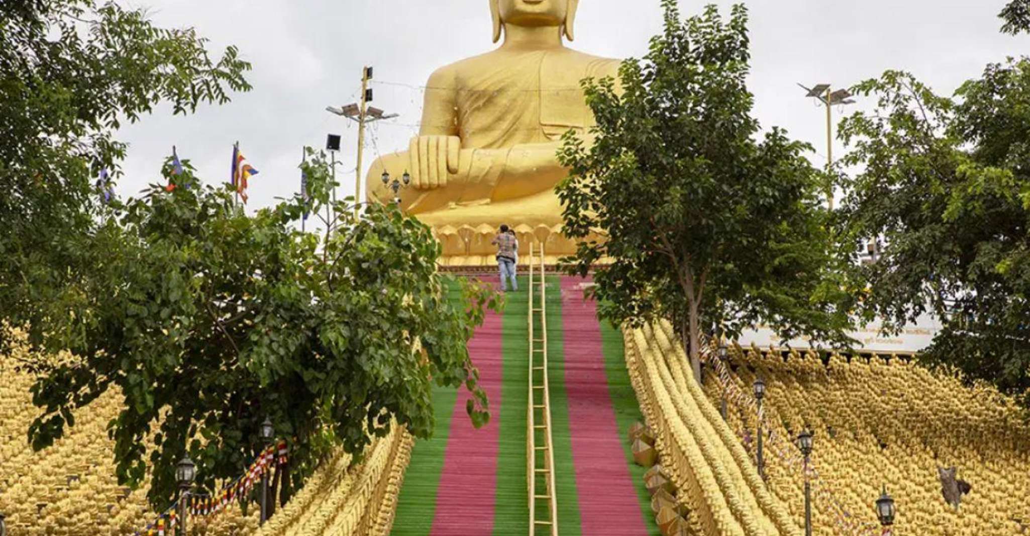 Phnom Tamao Wildlife Center, Buddha Kiri Cambogia Day Tour - Hizvo