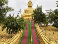 Phnom Tamao Wildlife Center, visite de la journée de Bouddha Kiri Cambodge - Hizvo
