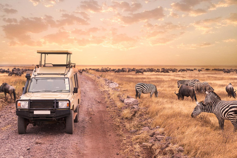 Arusha: Excursão de um dia à Cratera de Ngorongoro