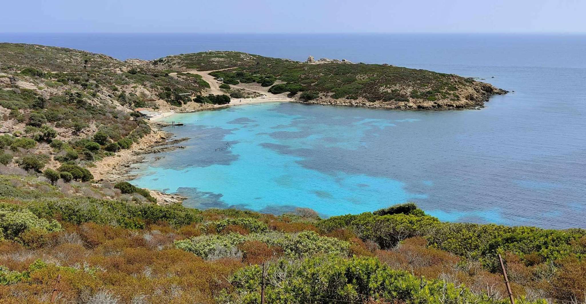 From Stintino, Day trip by minibus in Asinara National Park - Housity