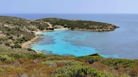 De Sntintino, viagem diurno de microônibus no Parque Nacional Asinara - Housity