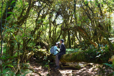 Tà Xùa Mountain Trekking Tour Private tour