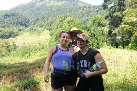 Kandy: Knuckles Mountain Range Full-Day Hike with Lunch