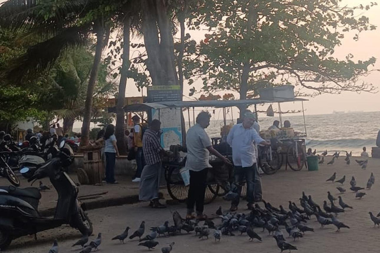 فورت كوتشي: جولات توك توك كوتشي - بأسعار مناسبة