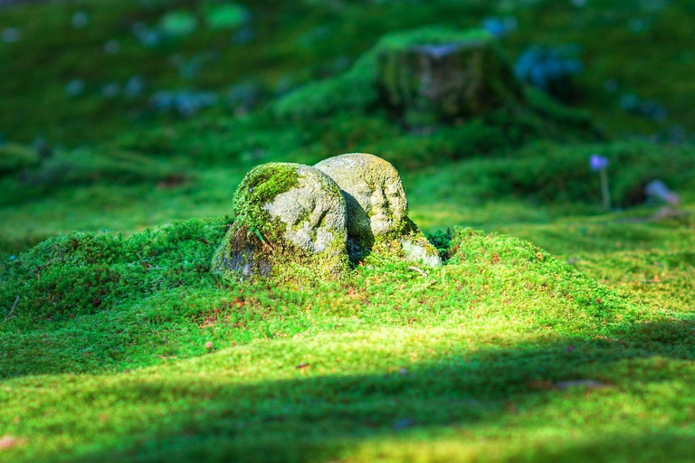 Osaka: Lake Biwa, Moonlit Temple and Omi Highlights Day Trip