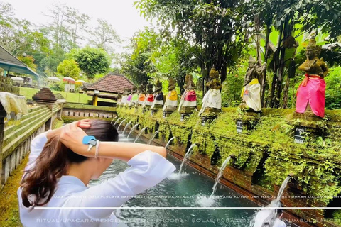 Bali: Amazing Waterfall, Monkey forest and Tample Tour
