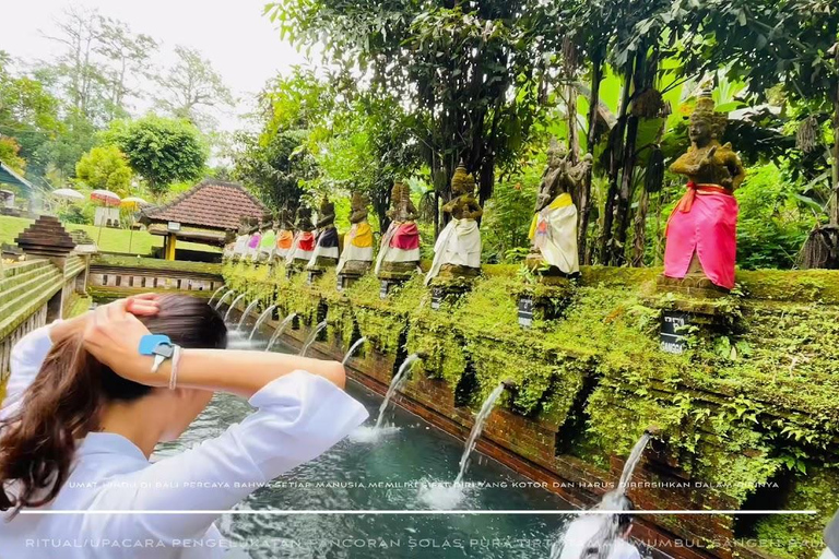 Bali: Amazing Waterfall, Monkey forest and Tample Tour