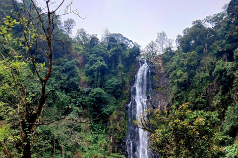 Materuni: Waterfalls and coffee experience day trip