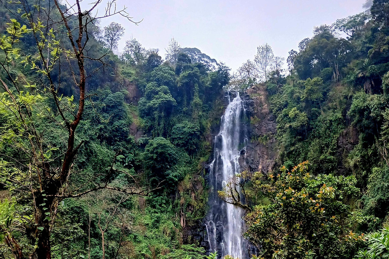 Materuni: Waterfalls and coffee experience day trip