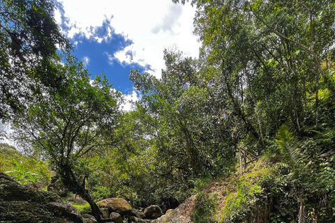 Medellín: WĘDROWNICTWO QUEBRADA BOQUERÓNMedellín: QUEBRADA BOQUERÓN GORGE HIKING