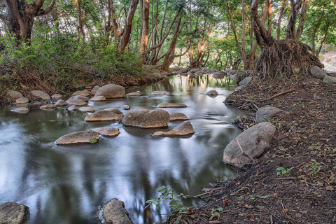 Baku: Southern Azerbaijan Hot Springs and Nature Tour 1-Day Lankaran Hot Springs Tour – Standard (No Meals)