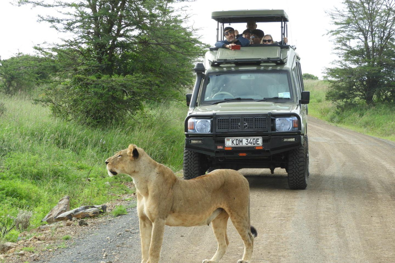 Private Nairobi National Park Drive in 4*4 landcruiser