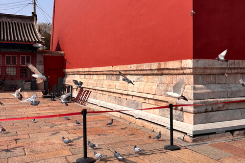 Beijing: 3-hour Forbidden City story Tour with Entry Ticket