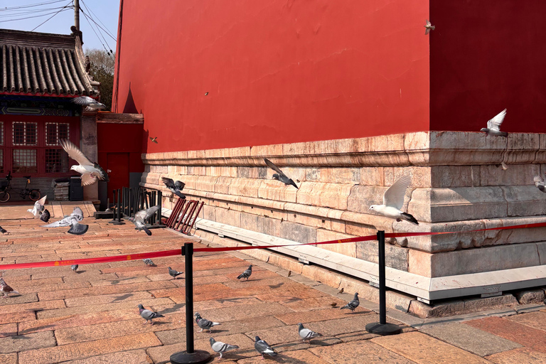 Beijing: 3-hour Forbidden City story Tour with Entry Ticket