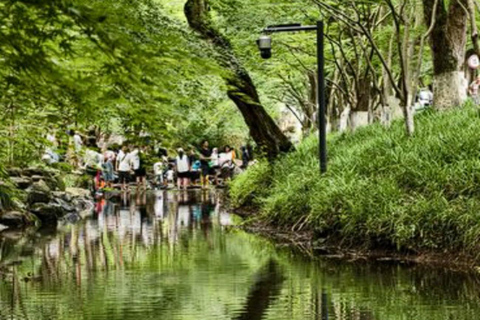 Suzhou: Hangzhou Nine Creeks & Longjing Tea Village Trip