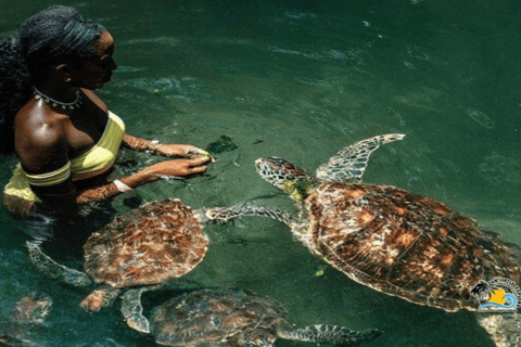 Sansibar: Nungwi Village Tour und Schwimmen mit Schildkröten