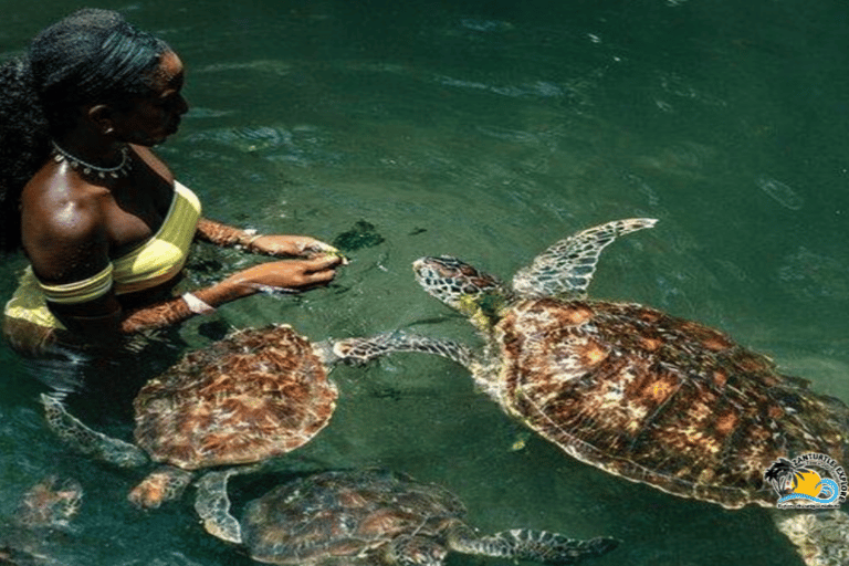 Zanzibar: Nungwi Village Tour and Swimming with Turtles