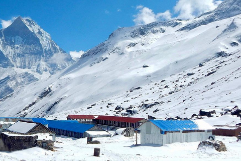 Från Pokhara: 7-dagars Annapurna Base Camp Budget Trek