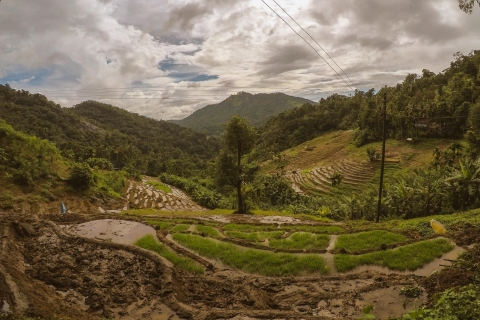Trek du sentier des épices Knuckles depuis Kandy