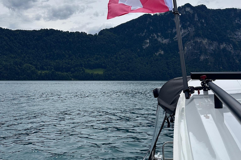 Lake Lucerne: Private Luxury Boat Cruise
