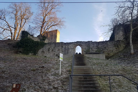 Stuttgart: 4-castle winter hike with costume tour