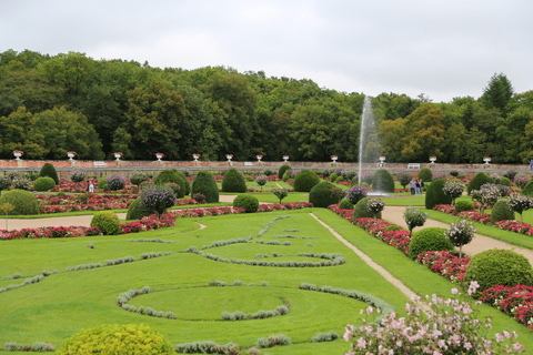 Chenonceaux: Château and Gardens Walking Tour with Entry