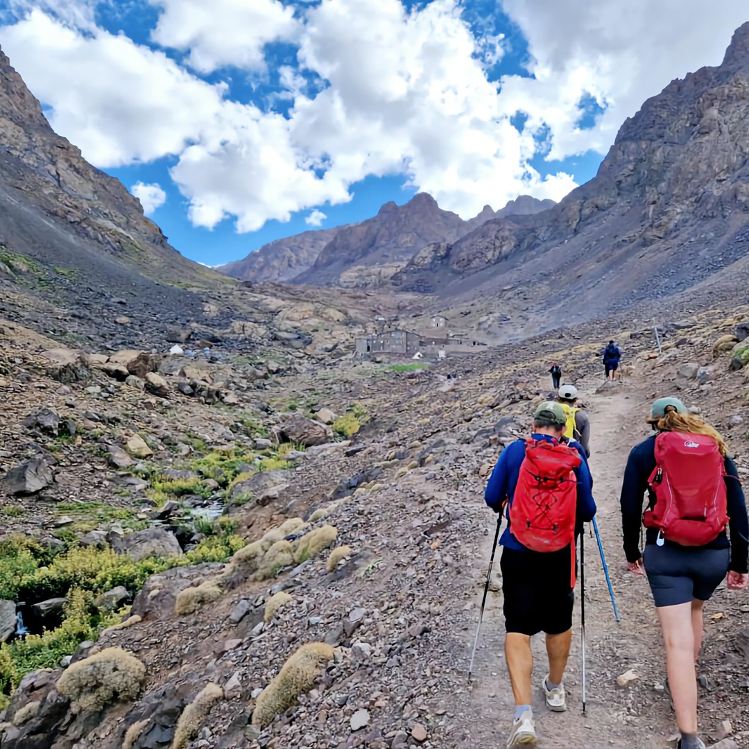 Montagnes de l'Atlas : Randonnée d'une journée au sommet du Tedli depuis Marrakech - trekking