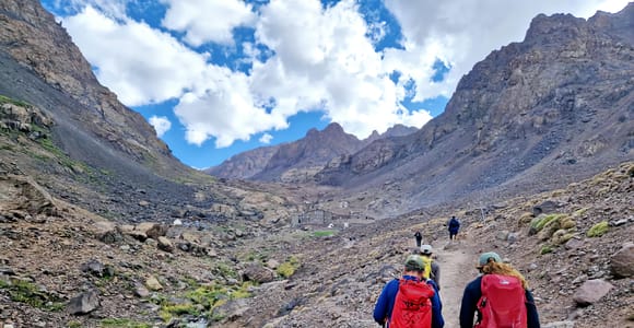 Montagnes de l&#39;Atlas : Randonnée d&#39;une journée au sommet du Tedli depuis Marrakech