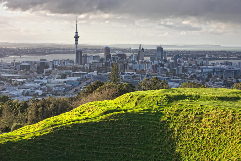 Auckland: Destaques da cidade e experiência na floresta nativa