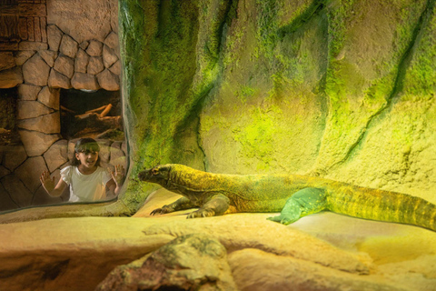 Dubai: Dubai Safari Park Entry Pass Safari Park Pass with Train and Explorer Safari Tour