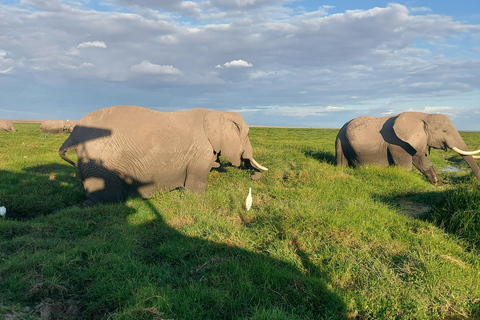 3-day Amboseli & SaltLick Safar: Kilimanjaro View & Treetop