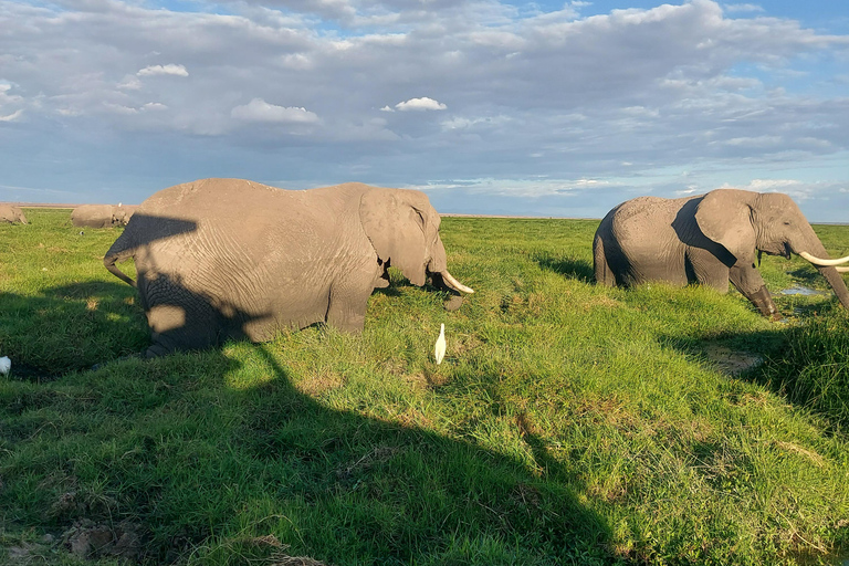 3-day Amboseli & SaltLick Safar: Kilimanjaro View & Treetop