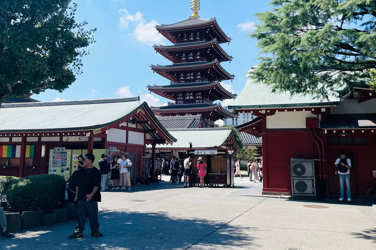 Tokyo City Highlights Tour With English Speaking Driver