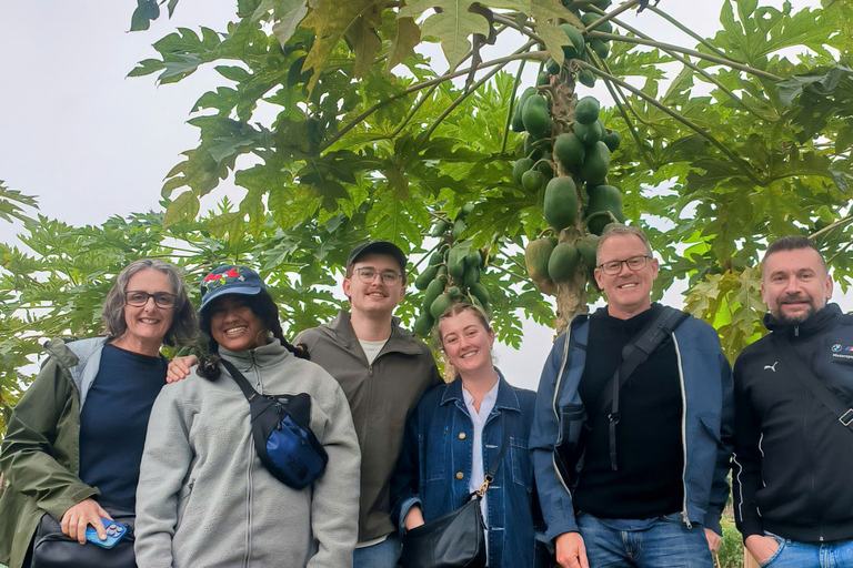 Hanoi Vintage Jeep Tour: Slower-Paced Hidden Gems