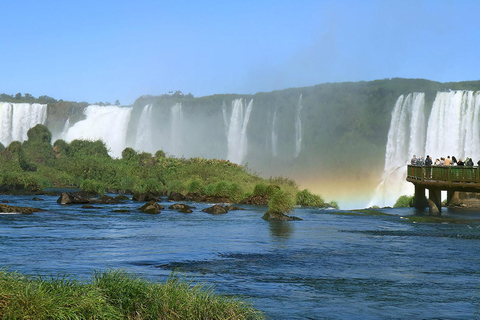 Guided Tour - Explore the Waterfalls Brazil and Bird ParkThe Waterfalls Brazil and Bird Park (Ticket included)