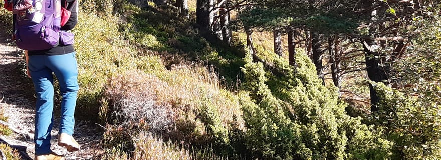 Trek guidé 5 jours dans les Cairngorms - Écosse