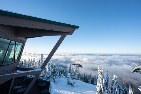Vancouver: Grouse Mountain & Stanley Park Signature Tour