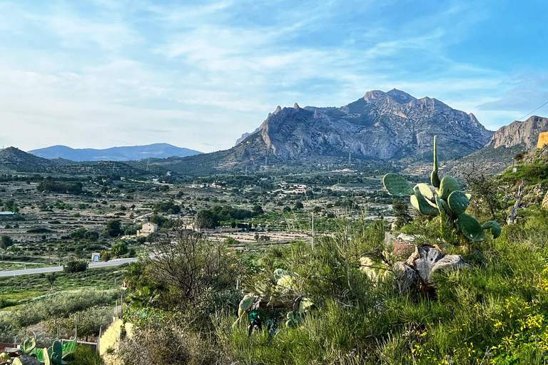 Private driving tour to Canelobre Caves & Busot & Campello