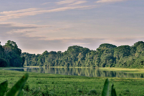 Cusco: Manu National Park 5-Day Jungle Wildlife Tour