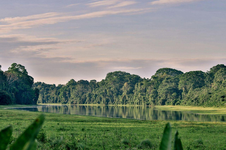 Cusco: Manu National Park 5-Day Jungle Wildlife Tour