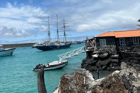 Galapagos: Exclusive 7-Day Tour – Santa Cruz, Isabela, and Santa Fe with Snorkeling Galapagos: Exclusive 7-Day Tour of Santa Cruz, Isabela, and Santa Fe with Snorkeling