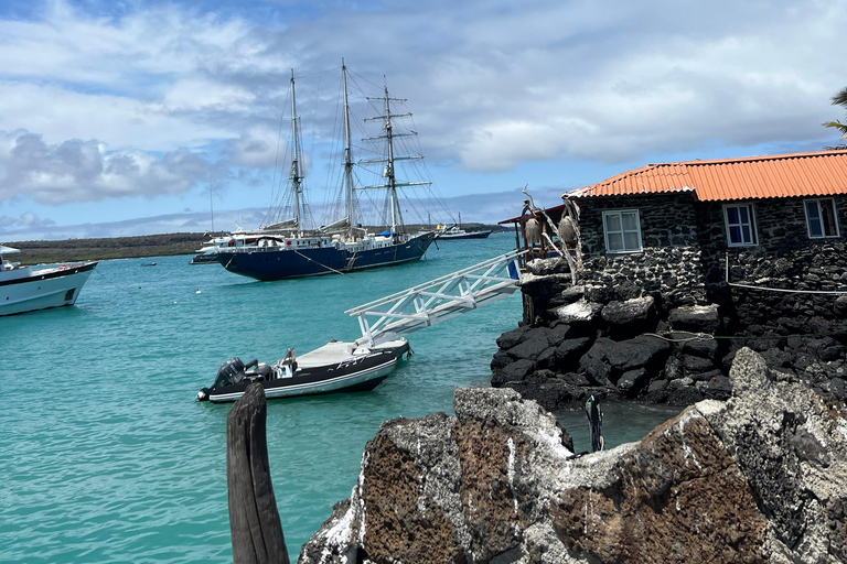 Galapagos: Exclusive 7-Day Tour – Santa Cruz, Isabela, and Santa Fe with Snorkeling Galapagos: Exclusive 7-Day Tour of Santa Cruz, Isabela, and Santa Fe with Snorkeling