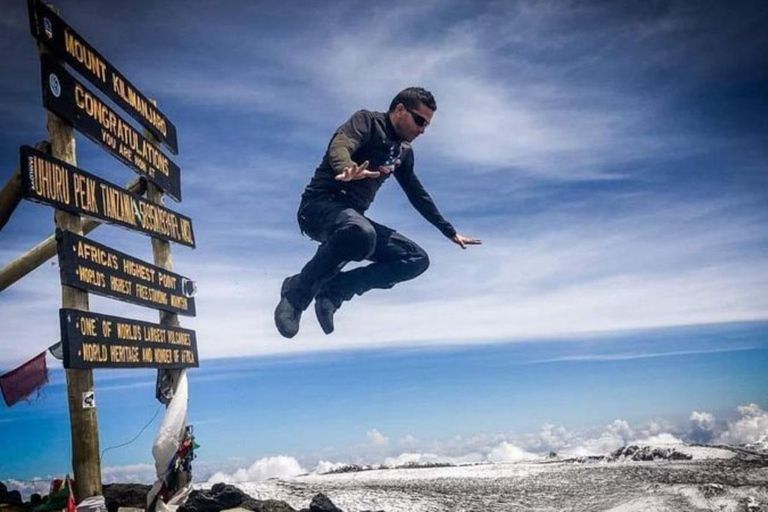 8 dias de magia no Kilimanjaro na Rota Lemosho8 dias de escalada da Rota Lemosho no Kilimanjaro