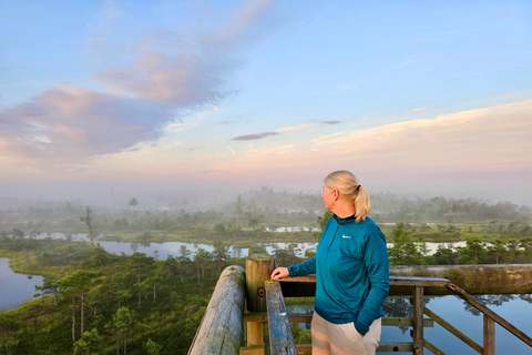Ķemeri Great Bog With Optional Sunrise & Jūrmala Visit Ķemeri Bog Shared Small Group Tour