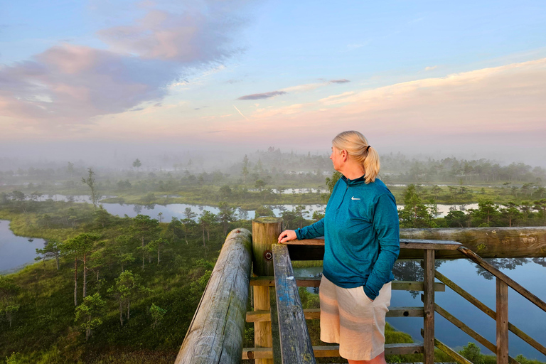 Ķemeri Great Bog With Optional Sunrise & Jūrmala Visit Ķemeri Bog Shared Small Group Tour