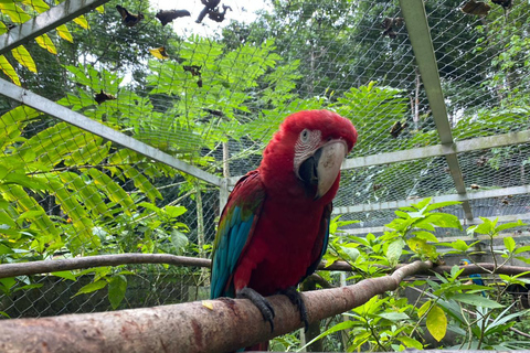 Cachoeiras, reserva de animais e chocolate: Mango Passage