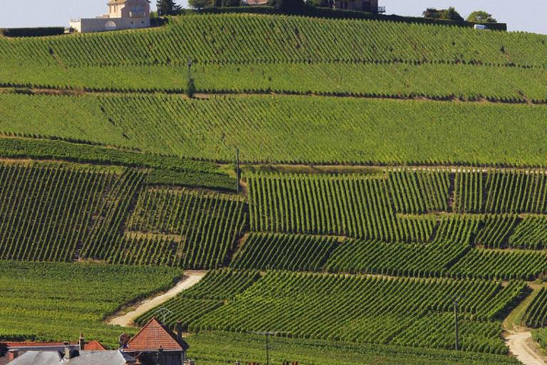Parigi: escursione privata di un giorno nella regione dello Champagne e a Reims